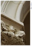 IMG_1641