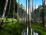 Y005571000001_2_1