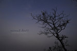 _DSC8085 copy