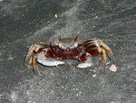 P1060460