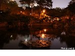 DSC00721(001)