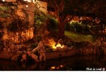 DSC00722(001)