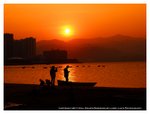 P1150363a-20110115