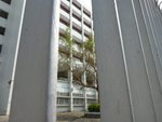 P1000106