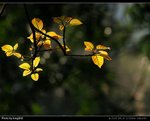 P3130254