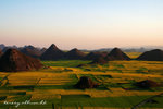 Yunnan_515