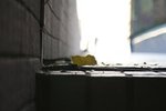 IMG_1431