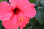 IMG_1527
