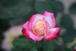 IMG_1573