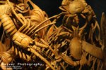 IMG_0238