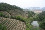 IMG_0839