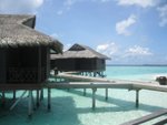 IMG_1539