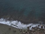 IMG_2479