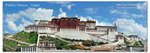 20110805_pano08