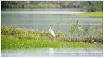 DSC_6998_800