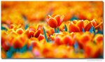 _DSC8377
