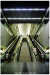 DSC_6299_800