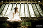 DSC_5608sc[1]