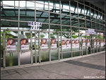 Sandy Lam Fan Club