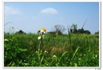 nEO_IMG_nam027