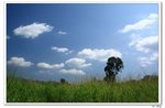 nEO_IMG_nam029