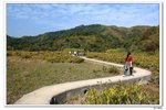 nEO_IMG_laichi037