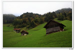 nEO_IMG_SW3_005