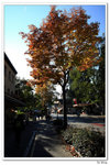 nEO_IMG_SW3_064