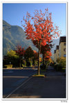 nEO_IMG_SW3_082