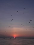 DSCN0554