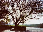 PICT0014