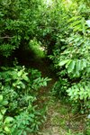 IMG_3578
