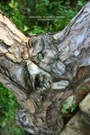 IMG_3612