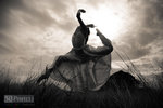 DSC_0018-Edit