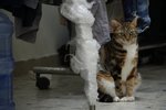 IMG_0829