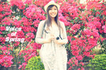 DSC_0528.JPG_effected_1