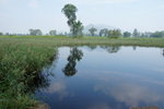 DSC09083
