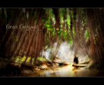 aforest0119