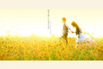 combine (4)