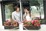 aDSC_7162b