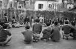 scout18