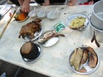 20050401 Tigert rainingcamp 041