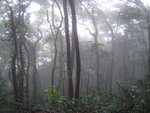 DSC07624