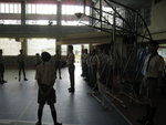 IMG_4481