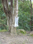 DSC00104