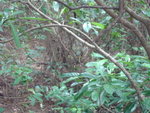 DSC00243