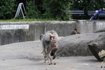 IMG_2796
