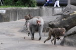 IMG_2797
