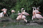 IMG_2802