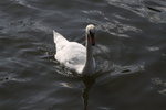 IMG_2837